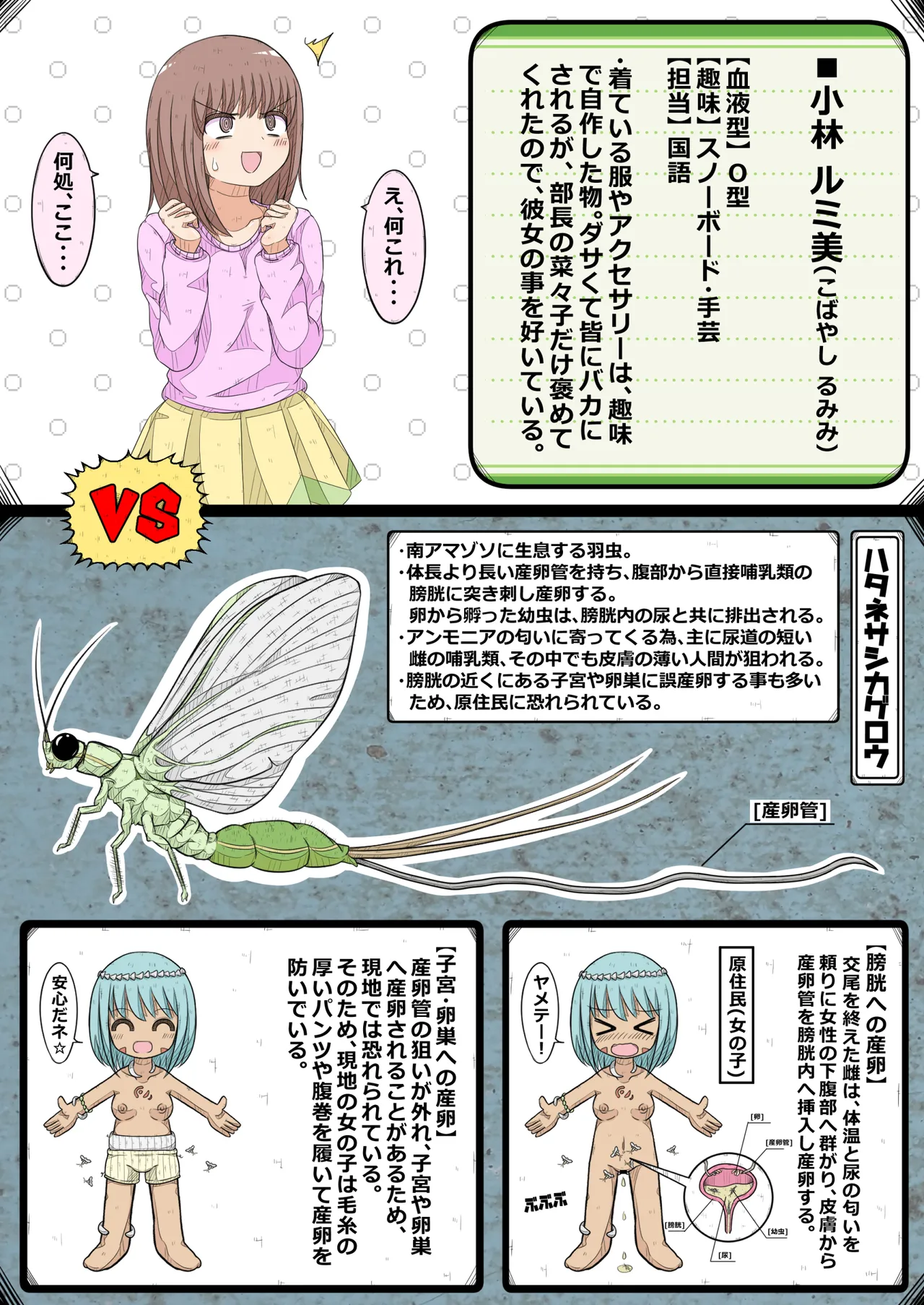 卵巣快楽研究部~顧問の卵巣を掌握せよ!の巻き~ Page.6