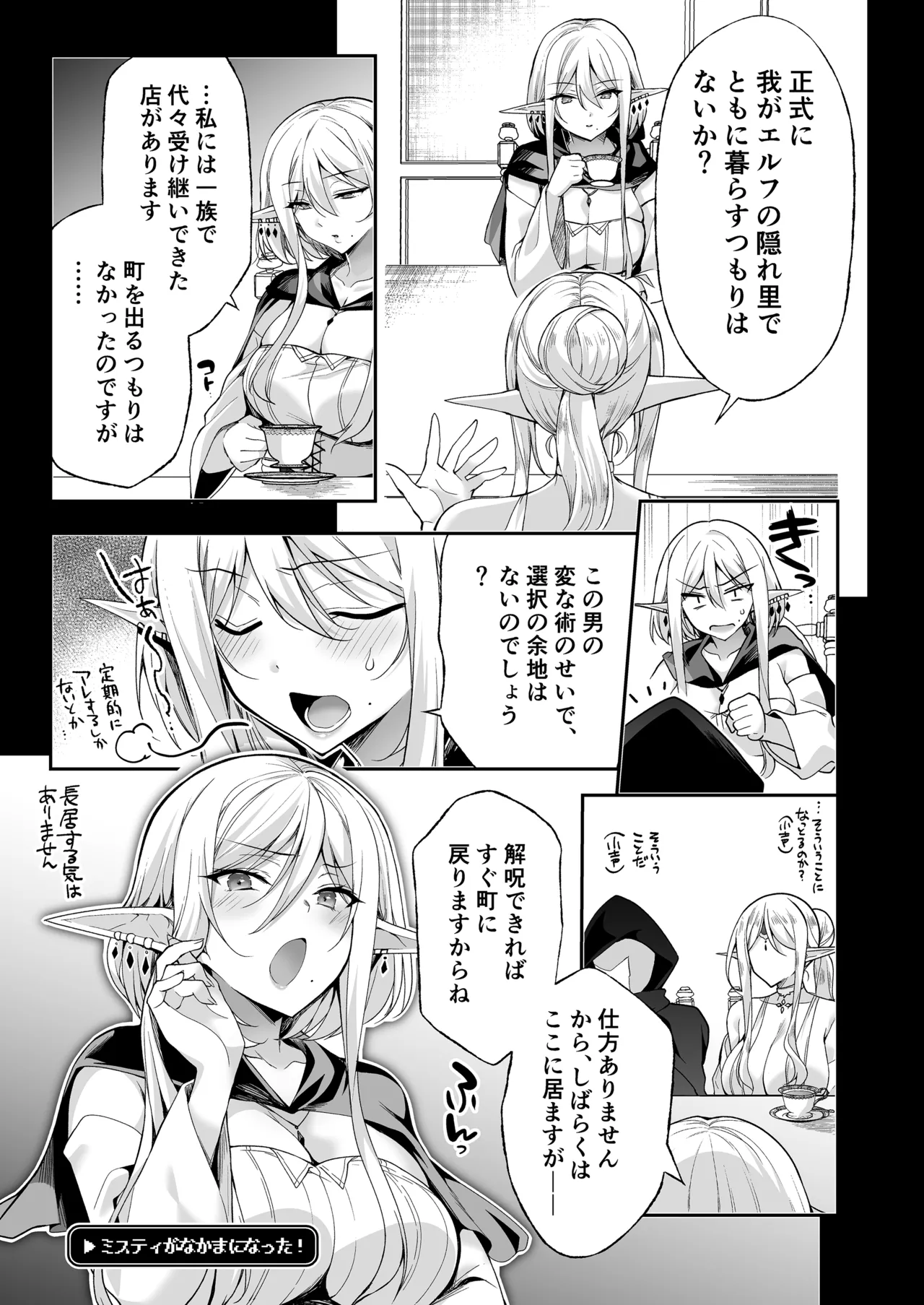 エルフに淫紋を付ける本 LEVEL:8 Page.17
