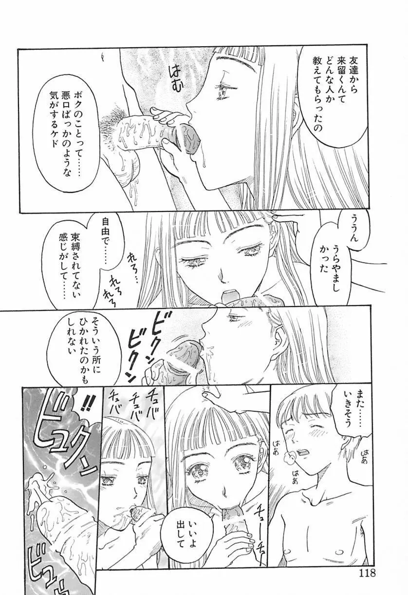 柔らかな襞 Page.117