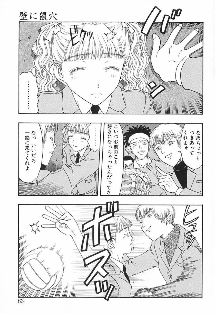 柔らかな襞 Page.82