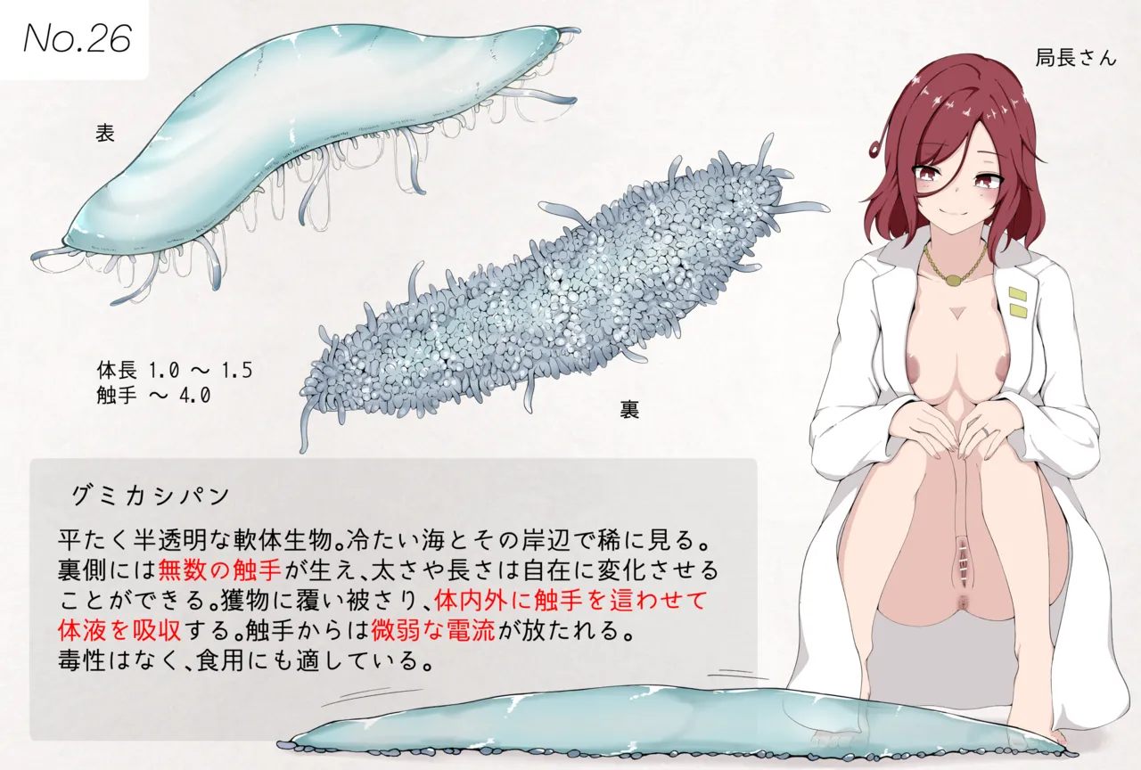 蟲研究レポートNo.26 Page.1