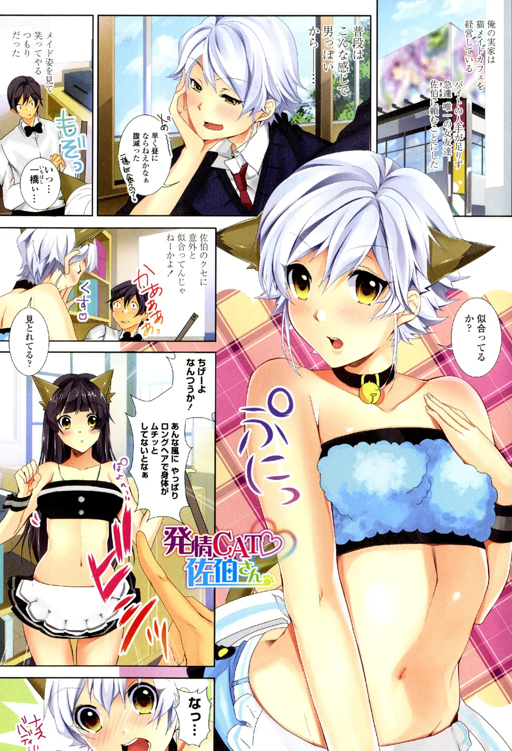 ソクはめ ちゃんねる Page.56